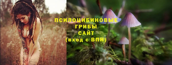 твердый Белокуриха
