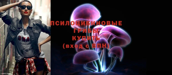 твердый Белокуриха