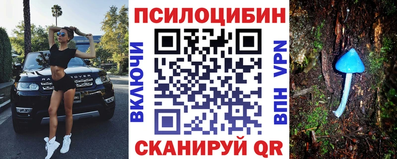Галлюциногенные грибы Psilocybine cubensis  Монино 